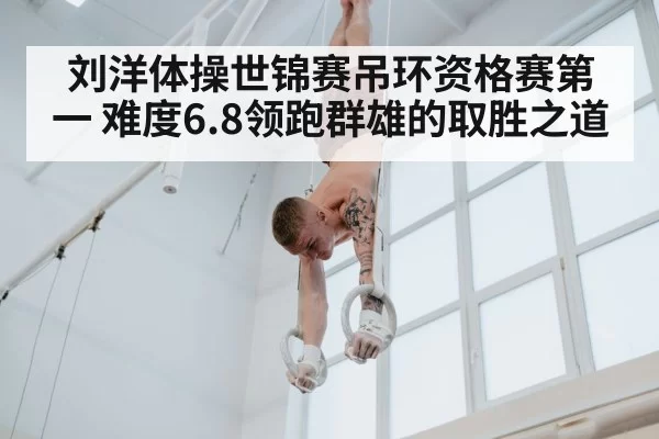 gymnastics rings competition